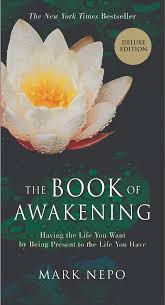  - Spirituality: The Book of Awakening by Mark NepoThis book is not just for summer. It is on my kitchen counter as a handy devotional that I refer to every morning! Mark supplies small nuggets of thought provoking stories to enlighten you on your journey. This book promises to leave you feeling more joyful, grateful, and present among the challenges and stresses of life.  